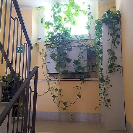 Отель Calaluna 3*